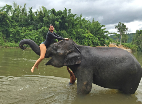 thailand tour operators home : Travel Beyond Thailand &#8211; thailand tour operator Travel beyond thailand destination elephant bathing