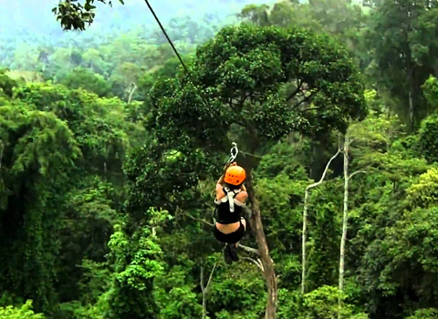 thailand tour operators home : Travel Beyond Thailand &#8211; thailand tour operator Travel beyond thailand zipline