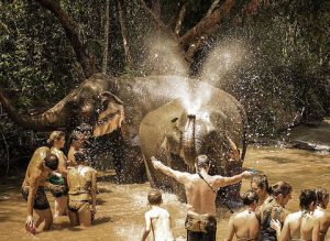 elephant-bating-activities-travel-beyond-thailand-300x219  Elephant Bathing Travel Beyond Thailand elephant bating activities travel beyond thailand 300x219
