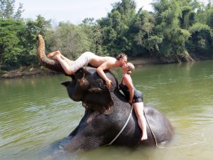 Elephant-Bathing-300x225  Elephant Bathing Travel Beyond Thailand Elephant Bathing 300x225